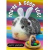 YOU'RE A GOOD EGG! Funny Guinea Pig Happy Easter Bunny Photo Magnet