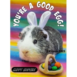 YOU'RE A GOOD EGG! Funny Guinea Pig Happy Easter Bunny Photo Magnet