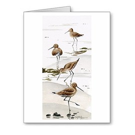 DJ Rogers Fine Art Sand Pipers - Set of 10 Wildlife Note Cards With Envelopes