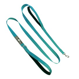 Olive Paws Dog Leashes for Medium Dogs, 6ft Dog Leash for Small Dogs. Padded Double Handle Dog Leash for Training, Walking and Play. Traffic Handle, Reflective and Lightweight (Sky Blue)