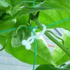 The Work, Will one-touch [Green Curtain] Gardening for convenient clip