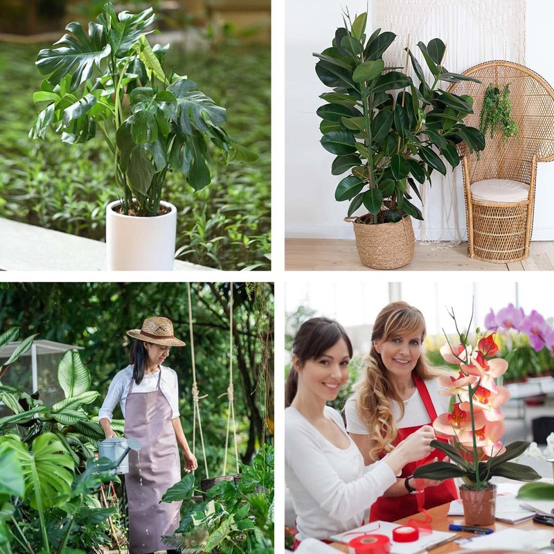 Plant Support Stakes for Climbing Plants, Stackable, Indoor Outdoor Use,