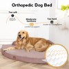MEKIY Large Orthopedic Dog Bed with Sides XXXL Dog Beds