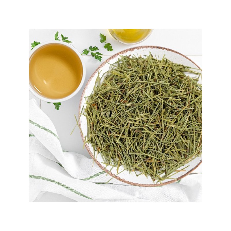 신선약초 국산 솔잎 300g Fresh Herbal Korean Pine Needles 300g