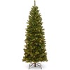 National Tree Company Pre-Lit Artificial Slim Christmas Tree, Green, North