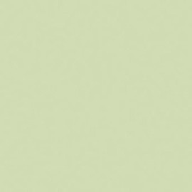 Rosco Roscolux Pale Yellow Green, 20x24 Color Effects Lighting Filter