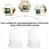 Angoily Decorative Glass Display Dome Cloche- 6in Height Clear Cloche