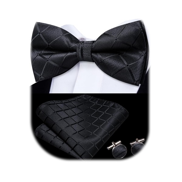 Dubulle Mens Pretied Bow Tie Set Paisley Floral Bowtie for