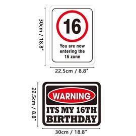 WERNNSAI 16th Birthday Party Decorations - 9PCS Wall Signs Funny Tags for Teens 16 Years Old Party Decor 16th Party Banner Table Centerpieces Door Wall Windows Signs Picture Props for Boys Girls