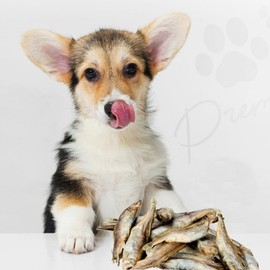 Jubebe Freeze-Dried Capelin 50g / 주베베 열빙어품은 동결건조 50g