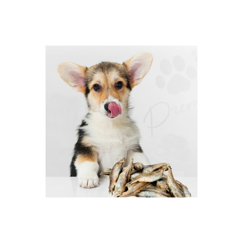 Jubebe Freeze-Dried Capelin 50g / 주베베 열빙어품은 동결건조 50g