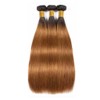 Niciitysi Brown Human Hair Color 1B30 Straight Bundles 12 14