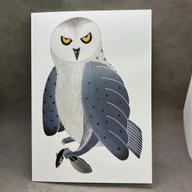 Pomegranate Postcard Kavavaow Mannomee “Grey Owl” 1993 Inuit Art From Cape Dorset Unused