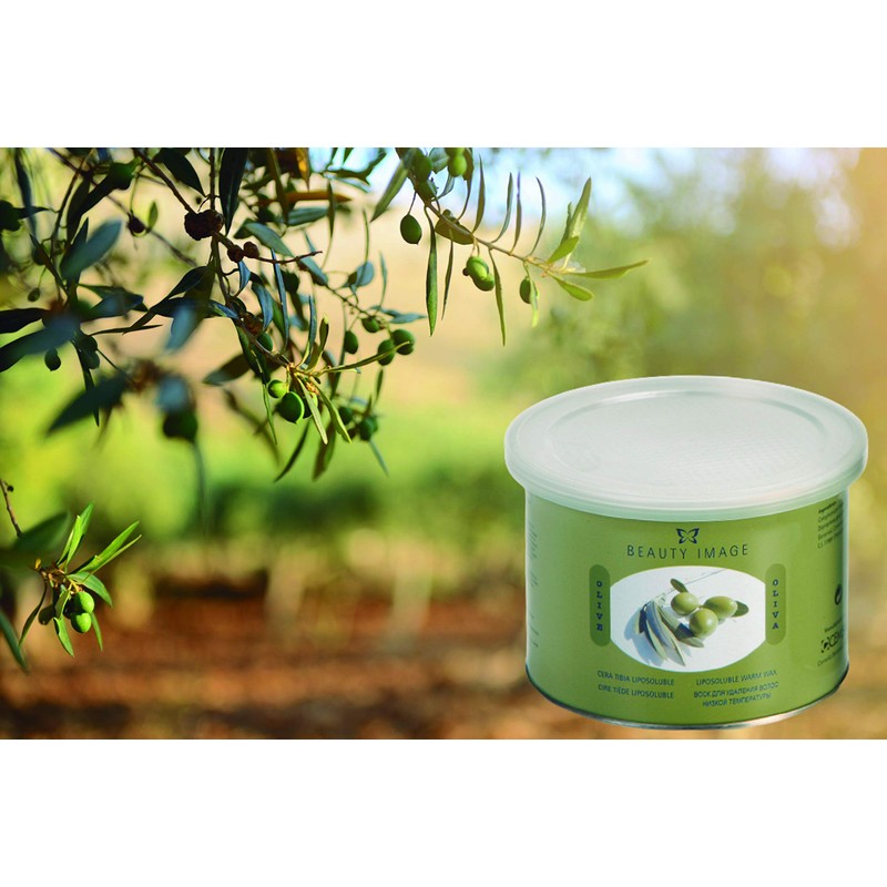 Wax Hair Removal Brazilian Wax (Olive) 13.5 fl oz (400