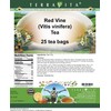 Red Vine (Vitis vinifera) Tea (25 tea bags, ZIN: 427438)