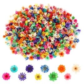 MARFOREVER 420 Pieces Small Dried Flowers for Crafts, Real Natural Mini Dried Flowers Dried Pressed Flowers Bulk for DIY Nail Art, Resin Candles Making, Scrapbooking, Home Daily Decoration