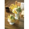 Daichi Farm DO032052-000 Dried Flowers, Immortel, Natural Yellow, Large, Approx.