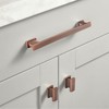 GRANTENOV 3-3/4 Inch Brushed Antique Copper Cabinet Pulls Handles Solid