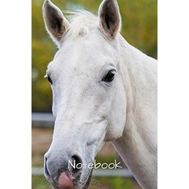 Notebook: 6" X 9" 150 page college lined soft covered journal,notebook, diary with " two white horse " on a matte cover