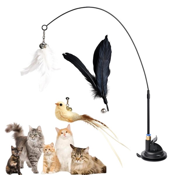 5 Pcs Cat Toys, Interactive Cat Toy Set with Feather