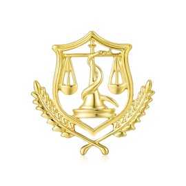 Fair Libra Brooch,Lawyer and Doctor Nurse Caduceus Pin,Law Nursing Graduation Badge