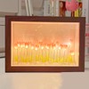 Tulip Light Photo Frame Flower Night Lamp Floral Picture Frame