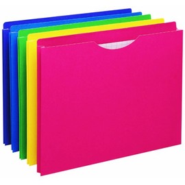 Pendaflex File Jackets, Colour Reinforced, 1-Inch Expansion, Letter Size, Closed on Three Sides, Double-Ply Reinforced Top, Straight Cut Tabs, Thumb Cut Front, Assorted Colors, 10 Folders/Pack