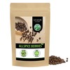 Allspice Berries whole (250g, 8.8oz), myrtle pepper, allspice grains 100%