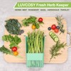 LUVCOSY 2 Pack Herb Keeper, BPA-Free Plastic Herb Saver with
