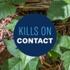 BioAdvanced Brush Killer Plus Spray - Kills Poison Ivy -