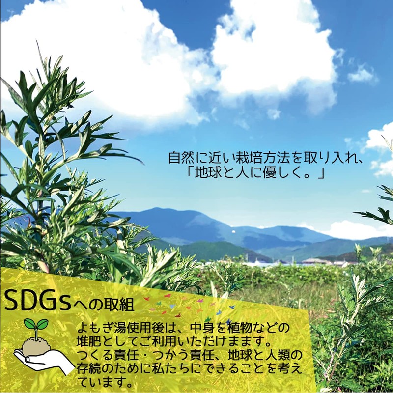 Wormwood Hot Water Bath Pack, Made in Ehime Prefecture, 100%