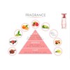 Samurai Fragrance Cooling Sheet, Set of 20, Samurai Woman, Set
