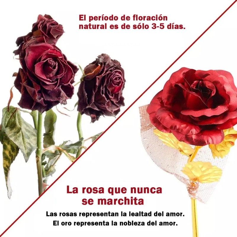 Rosas Bañadas En Oro 24 Quilates,regalo Día De San Valentín
