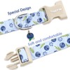 Faygarsle Blueberry Pattern Dog Collar for for Summer Small Medium