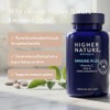 Higher Nature Immune Plus - Vitamin C with Zinc -