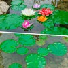 FFNIU 12Pcs Lily Pads for Ponds, Artificial Floating Foam Lotus