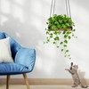 Plant Hanger Indoor, 2 Pack 11.8" Wooden Hanging Plant Holder