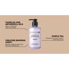 Windle LAB Purple Tea Conditioner