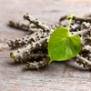 SVATV Giloy Powder | Guduchi | Tinospora cordifolia Stem Powder