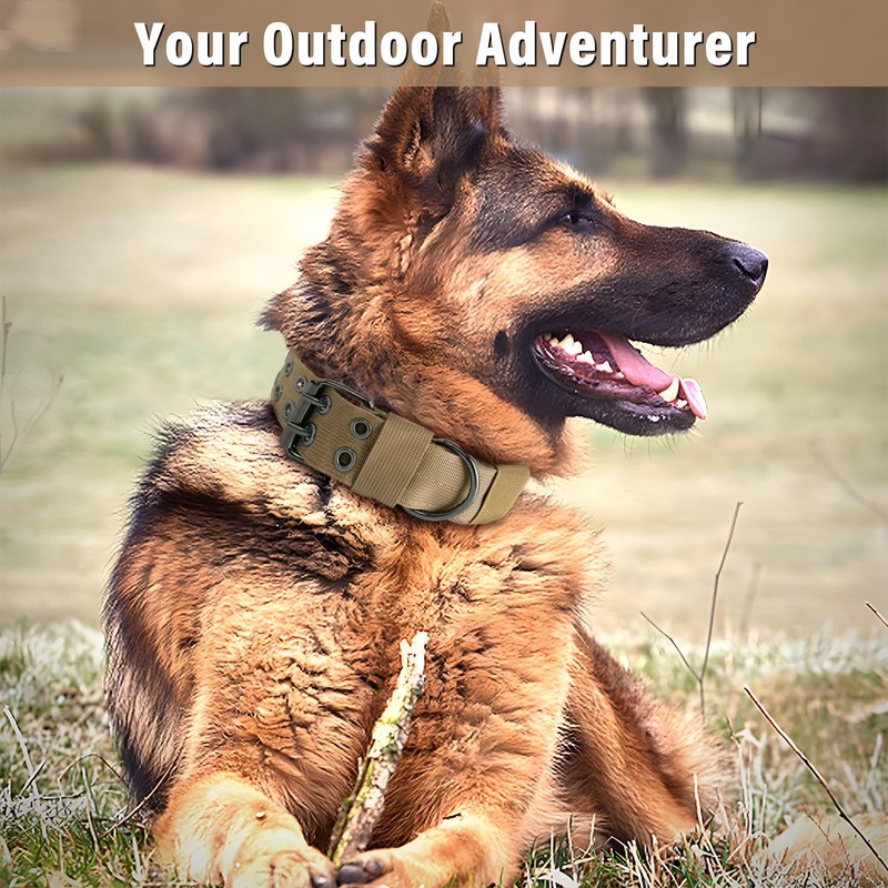 Heavy Duty Dog Collar, Tactical Dog Collar, Thick Dog Collar