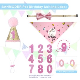 BANMODER Dog Birthday Bandana,Multi Size Square Scarf,Dog Birthday Hat with Numbers,Dog Girl Birthday Party Supplies for Large X-Large Dogs