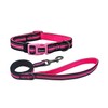 Olahibi Dog Collar and Leash Combo Set, Neoprene Padded, Polyester