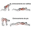 Rueda para Abdominales y Central Redonda con Estera de Esponja