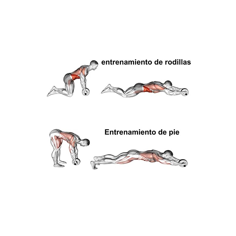 Rueda para Abdominales y Central Redonda con Estera de Esponja