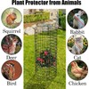 6 Pack Wire Plant Protector with Cover, 23.15" x 12.32"