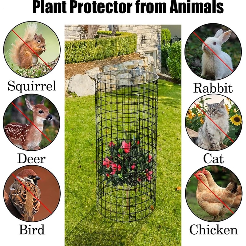 6 Pack Wire Plant Protector with Cover, 23.15" x 12.32"