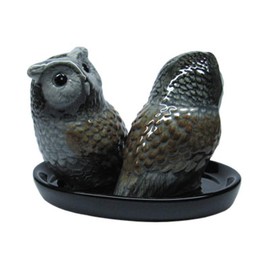Salt and Pepper Owl gifts Salt and Pepper animals cruet set novelty ceramic grey owls