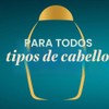 OGX, Shampoo Argan Oil, Ideal para Cabello Seco y Dañado,