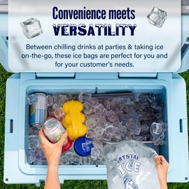 Thermal Tiger 10 LB Ice Bags with Drawstring (500 Count) – Clear Plastic Bags for Storing Ice – Storage Solutions for Home, Party, or Camping