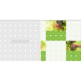 Foldology - The Origami Puzzle Game: 100 Unique Folding Puzzles for Bright Minds and Skillful Hands.